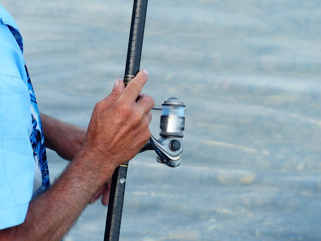 fishing reels