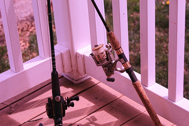 fishing reel