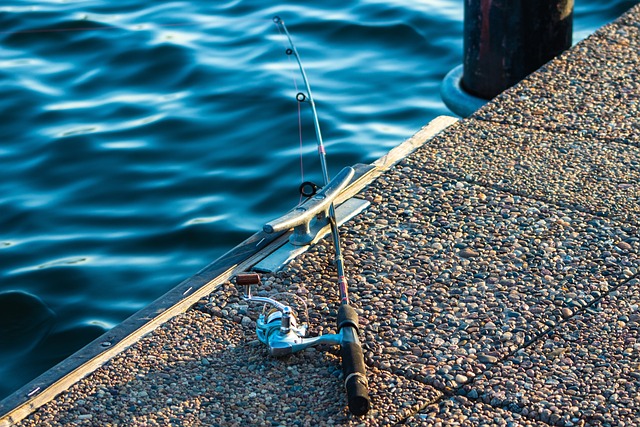 fishing reel