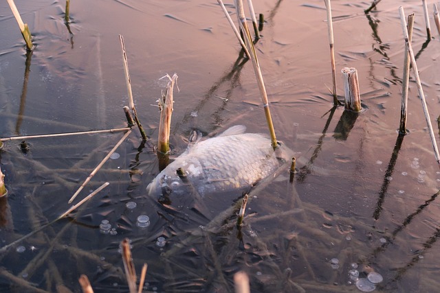 winter fishing