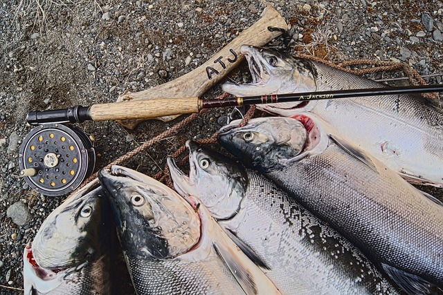 river fishing