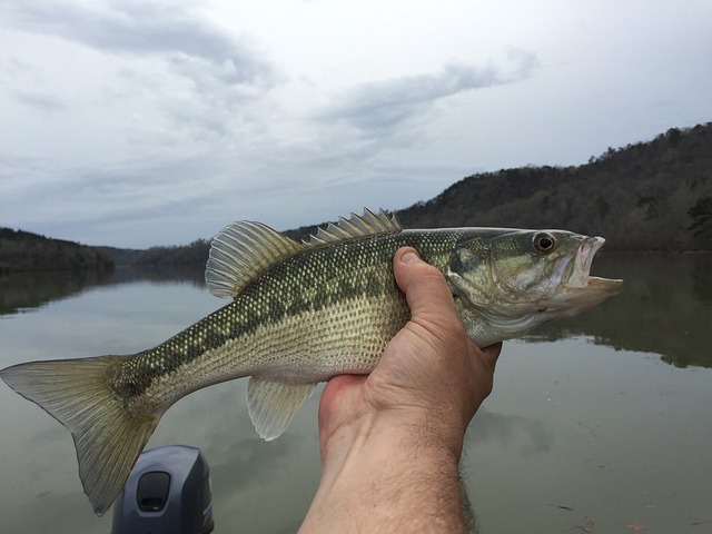 fishing