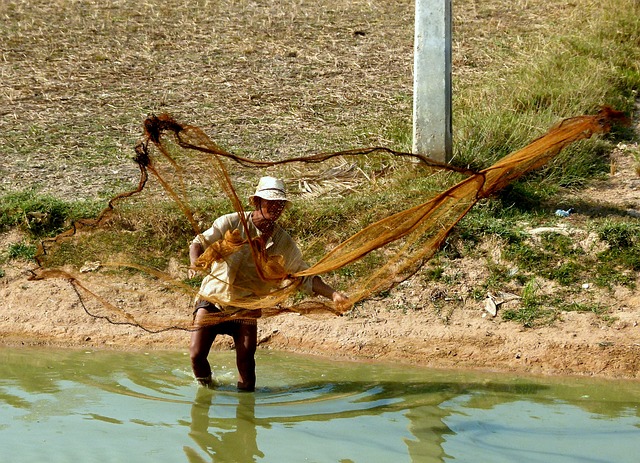 fishing