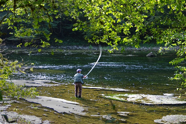 fishing